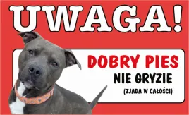tabliczka-tablica-uwaga-dobry-pies-ja-tu-pilnuje-prezent-gadzet-12x20cm