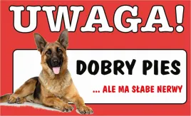 tabliczka-tablica-uwaga-dobry-pies-ja-tu-pilnuje-prezent-gadzet-12x20cm