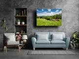bydlo-pireneje-francja-obraz-na-plotnie-40x30-cm-stan-nowy