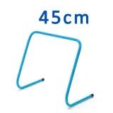 plotek-treningowy-koordynacyjny-45-cm