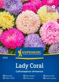 aster-chinski-coral-mix-8626