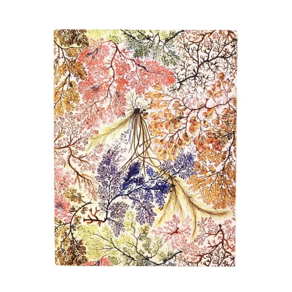 notatnik-linia-anemone-ultra