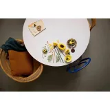 lego-botanicals-11502-informacje-dot-bezpieczenstwa-i-zgodnosci-produktu-nie-nadaje-sie-dla-dzieci-w-wieku-ponizej-36-miesiecy