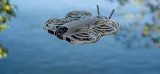 dron-dji-neo-2-fly-more-combo-drone-only-kod-producenta-cp-fp-00000271-01