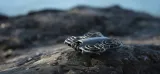 dron-dji-neo-2-fly-more-combo-drone-only-stan-nowy-marka-dji