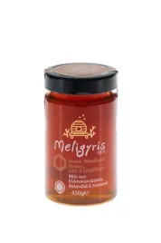 meligyris-miod-z-kasztanem-i-debem-450-g