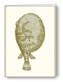 notatnik-ozdobny-a5-br-nb-s03-a-rossi