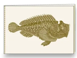 notatnik-ozdobny-a5-br-nb-s31-a-rossi