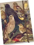 notatnik-ozdobny-a5-stnote-129-ptaki