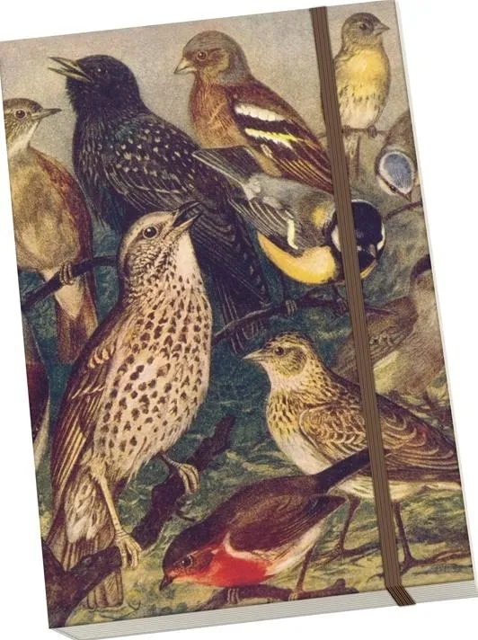 notatnik-ozdobny-a5-stnote-129-ptaki