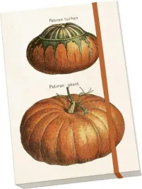 notatnik-ozdobny-a5-stnote-143-dynie