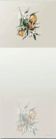 notes-z-magnesem-obys-mandarynki