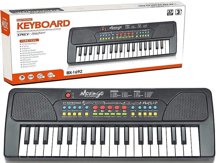 organki-na-baterie-mikrofon-rodzaj-pianinko