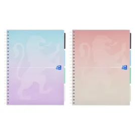 kolozeszyt-oxford-gradient-projectbook-b5-80k-pastelowy-mix