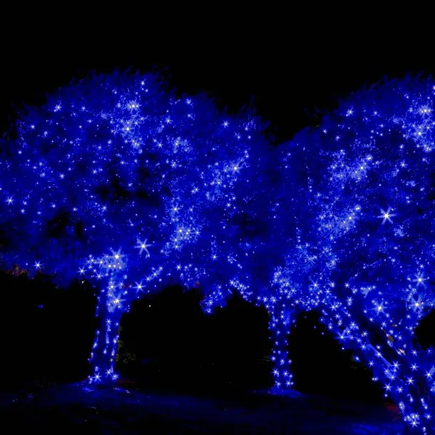 lampki-choinkowe-300-led-niebieski-z-programatorem-kod-producenta-300-led-blue