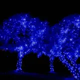 lampki-choinkowe-300-led-niebieski-z-programatorem-kod-producenta-300-led-blue