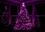 lampki-choinkowe-100-led-rozowe-z-programatorem-liczba-trybow-swiecenia-8