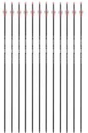 strzaly-wlokno-weglowe-skylon-spin-30-12-szt