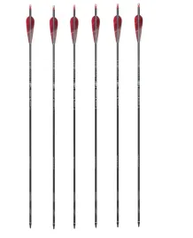 6x-strzala-carbon-do-luku-z-naturalnymi-lotkami