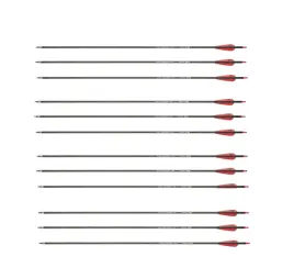 strzala-12-szt-grot-tarczowy-strzaly-nxg-30cali-spin-350-wlokno-weglowe