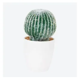 kaktus-w-doniczce-dekoracja-sztuczna-14-cm