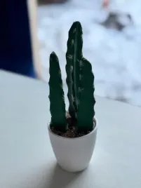 kaktus-w-doniczce-dekoracja-sztuczna-14-cm