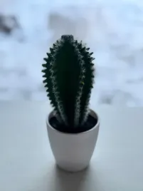 kaktus-w-doniczce-dekoracja-sztuczna-14-cm