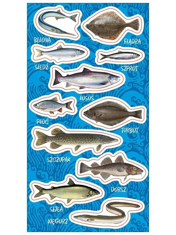 Grafika w opisie produktu