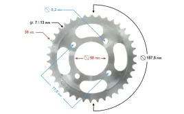 zebatka-tylna-38-428