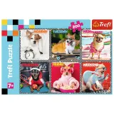 trefl-puzzle-200-el-wesole-psy