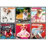 trefl-puzzle-200-el-wesole-psy