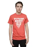 koszulka-meska-dla-informatyka-python-basic-xxl-marka-fruit-of-the-loom
