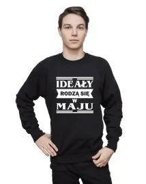 bluza-meska-idealy-maj-roz-m
