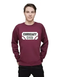 bluza-meska-chodzacy-ideal-l