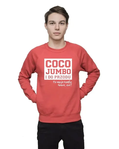 bluza-meska-coco-jumbo-i-do-przodu-s