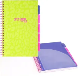 kolozeszyt-strigo-a4-100k-kratka-z-przekladkami-na-spirali-w-kratke