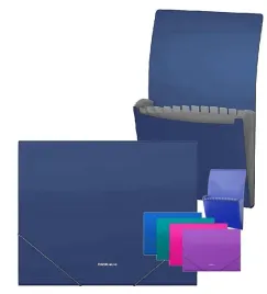teczka-plastikowa-a4-z-gumka-12-przegrodek-matt-biurowa-na-dokumenty