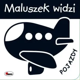maluszek-widzi-pojazdy