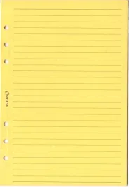 wklad-do-organizera-a5-linia-zolta