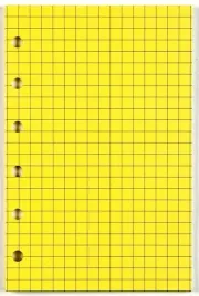 wklad-do-organizera-a5-kratka-zolta-antra