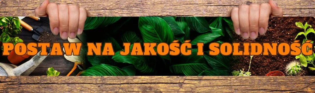 trojnik-bradas-dsa-563434l