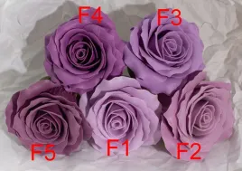 fioletowa-f4-romantyczna-roza-mydlana-5-warstwowa-sztuka