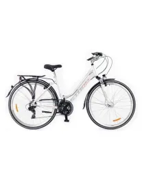 rower-storm-marathon-28-2-0-lady-perla-19