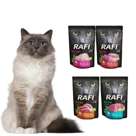 dolina-noteci-rafi-mokra-karma-dla-kota-mix-smakow-20-x-100g