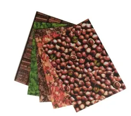 karton-300g-natura-24x34cm-5-arkuszy