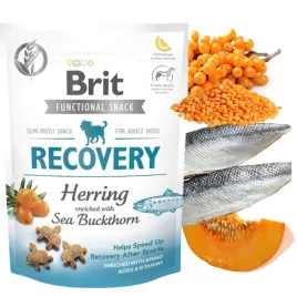 brit-functional-snack-recovery-150g-przysmak-dla-psa-regeneracja