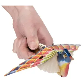 goki-spiewajacy-kolorowy-wrobel