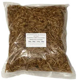 balmax-suszone-larwy-macznika-macznik-pokarm-dla-ryb-mealworm-1000g