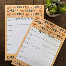 tygodniowy-planer-a4-60k-swinki-morskie