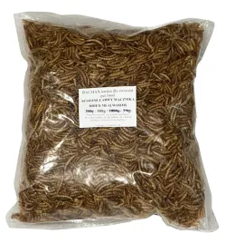 balmax-mealworm-suszone-larwy-macznika-macznik-larwy-dla-gadow-500g